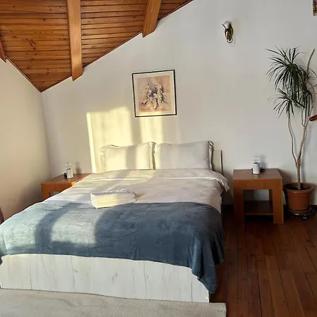 Guest house Ambra Room's Brasov